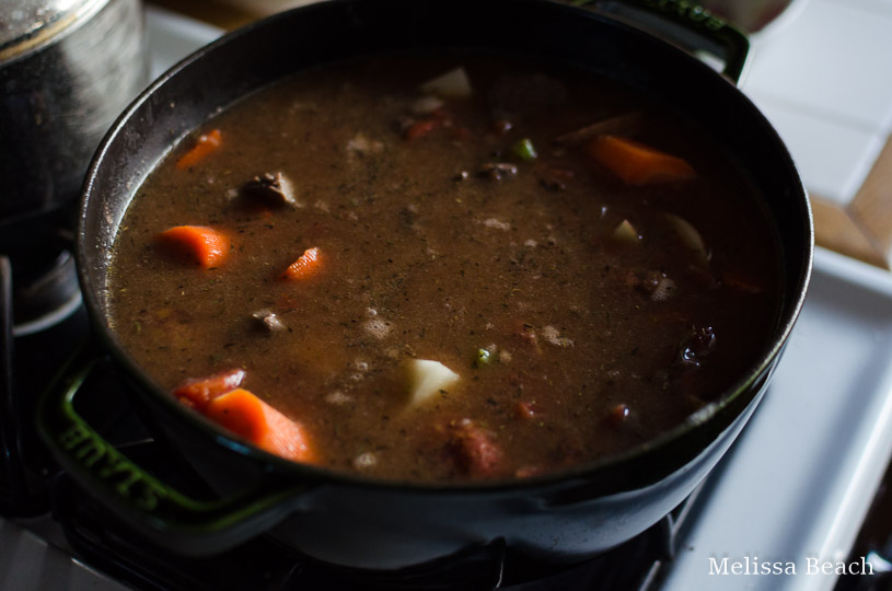 Healing My Family With Beef Stew
